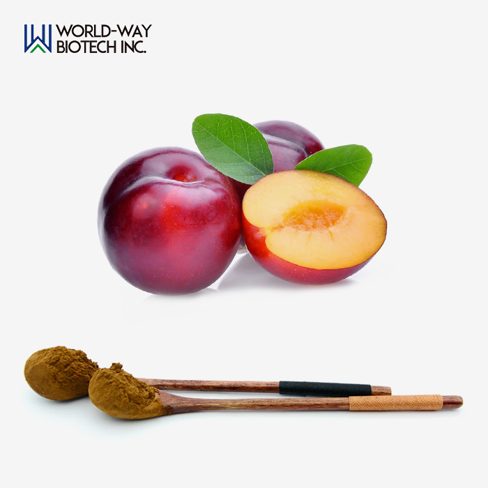 Plum Extract Plum Extract